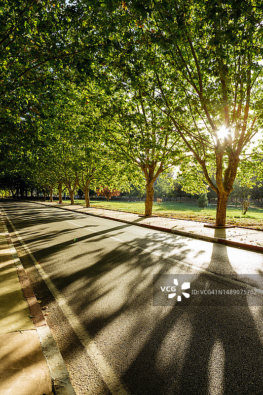 伊夫兰，中阿特拉斯山脉，摩洛哥，北非图片素材