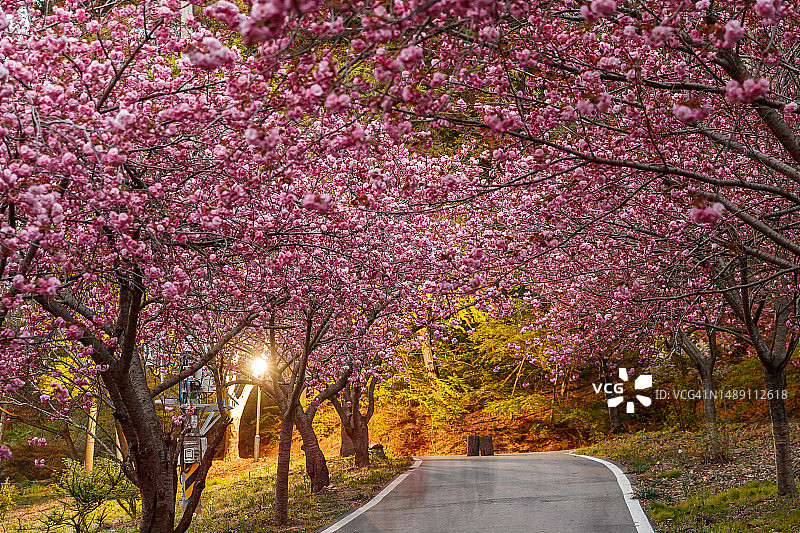 忠清南道瑞山市云山面台峰里40号图片素材