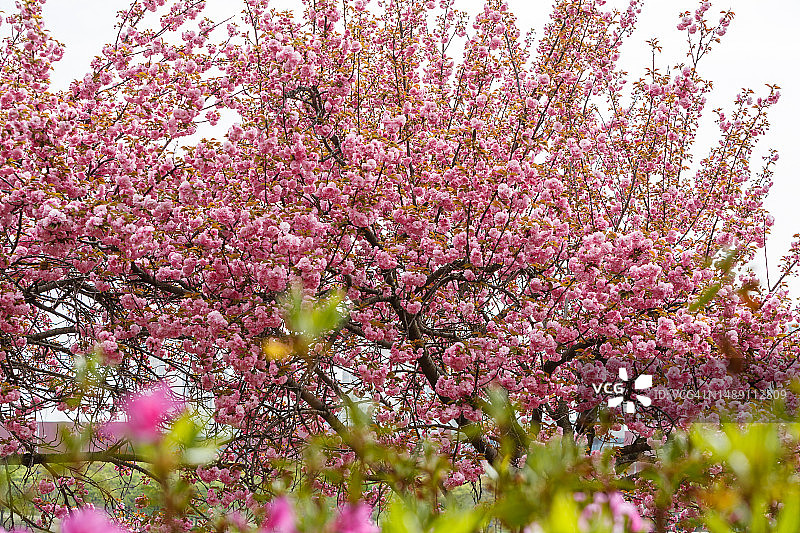 京畿道河南市美沙大路505号图片素材