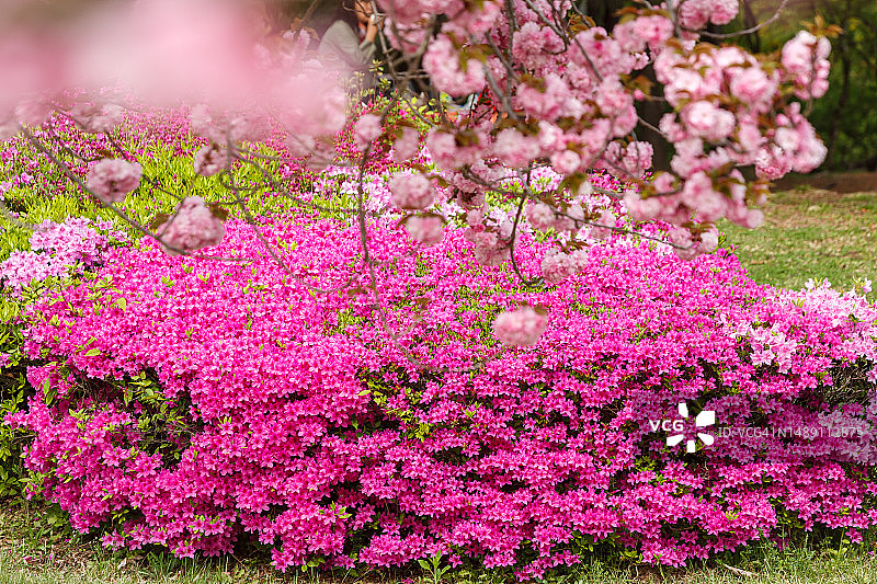 京畿道河南市美沙大路505号图片素材