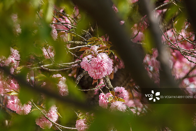 京畿道河南市美沙大路505号图片素材