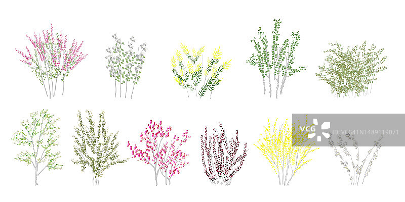 灌木素材合集图片素材