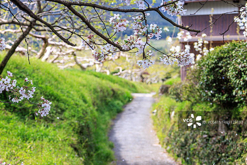 日本福冈县朝仓市梯子河图片素材