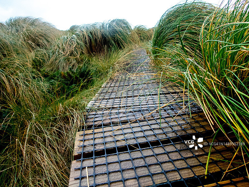 坎贝尔岛上的步行道图片素材