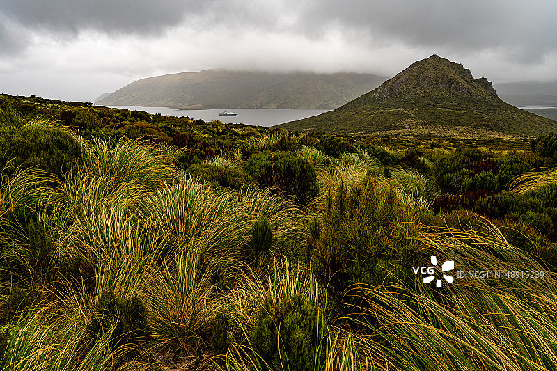 坎贝尔岛上茂盛的绿色植被，海湾远处有一艘船图片素材