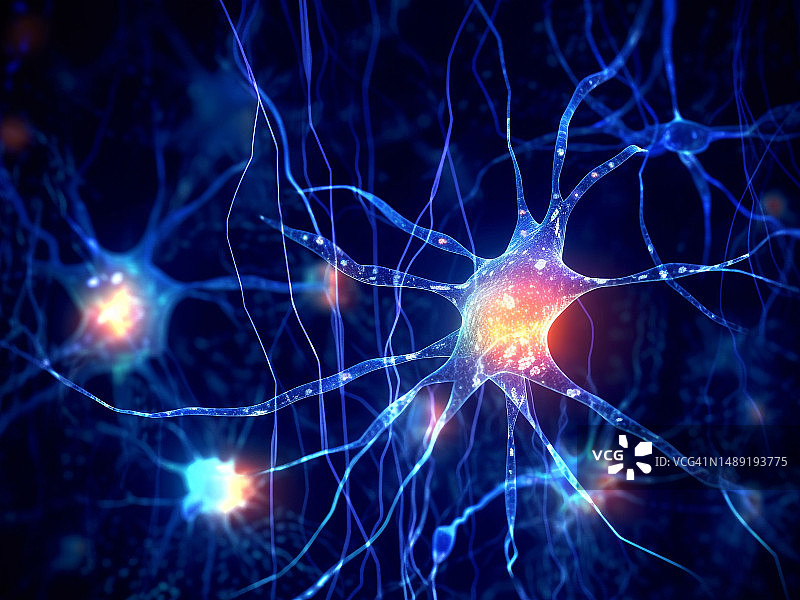 原生质星形胶质细胞，图示图片素材
