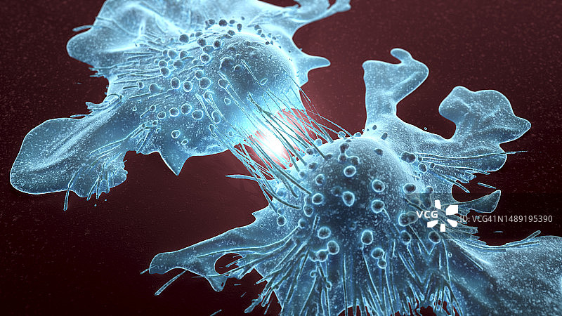 癌细胞分裂示意图图片素材