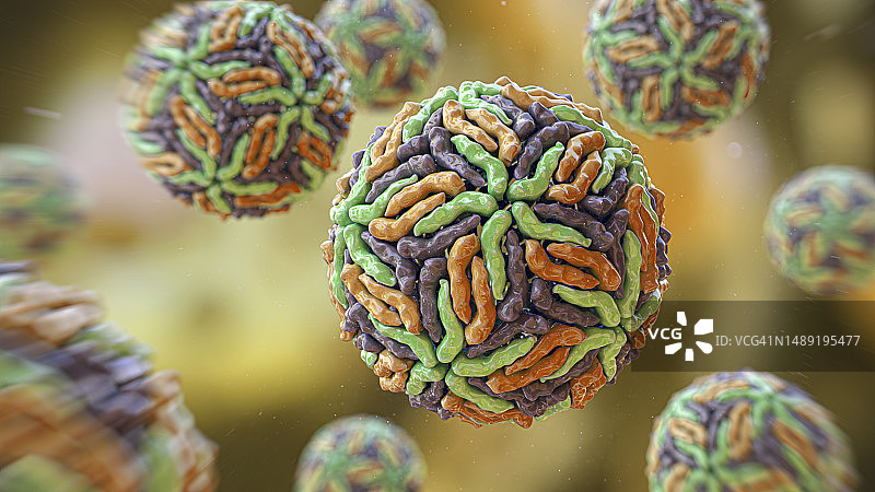 黄病毒科病毒图片素材