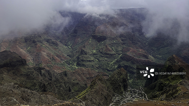 纳帕利科纳森林保护区的威美亚峡谷图片素材