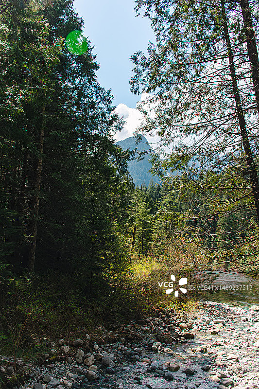 金耳朵公园山区景色图片素材