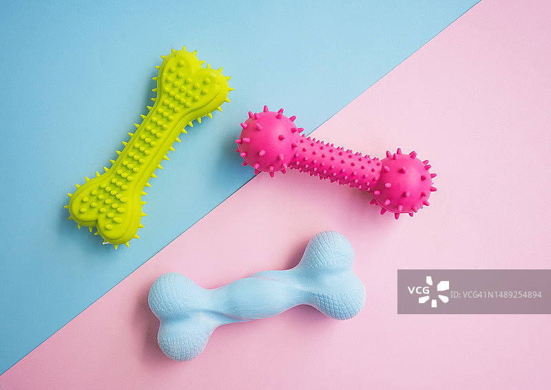 蓝色背景上的骨头形状小狗玩具，宠物配件概念图片素材