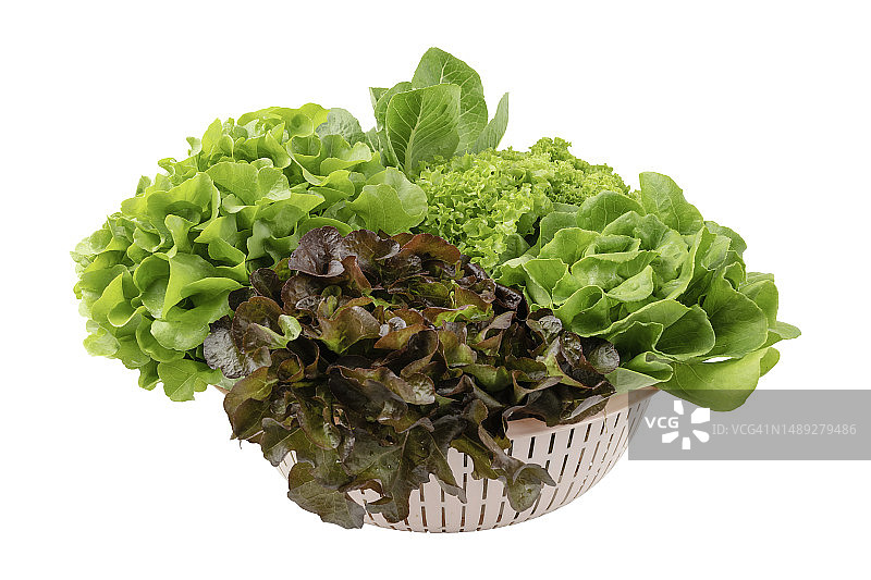 白色背景下的独立生菜，有机纯素食品概念图片素材