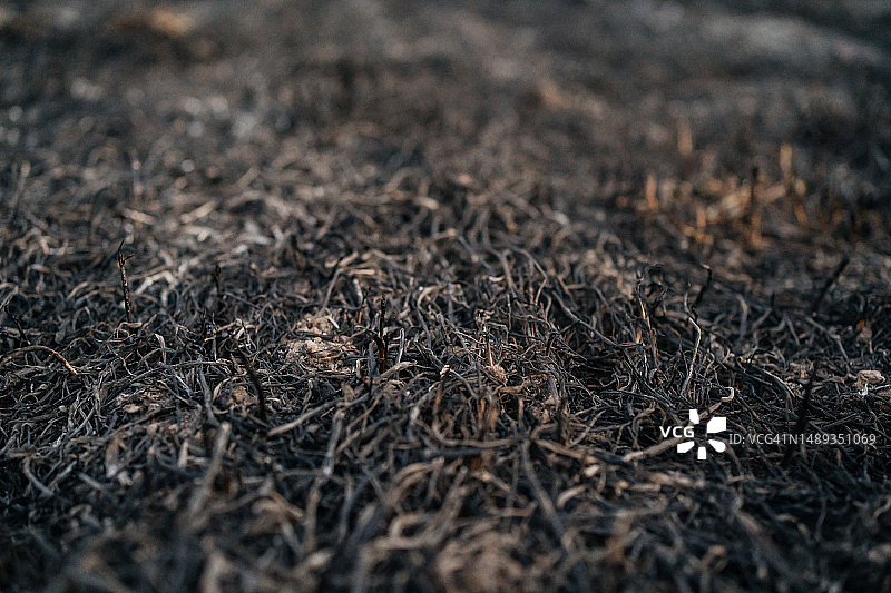 火灾后的烧焦草地图片素材