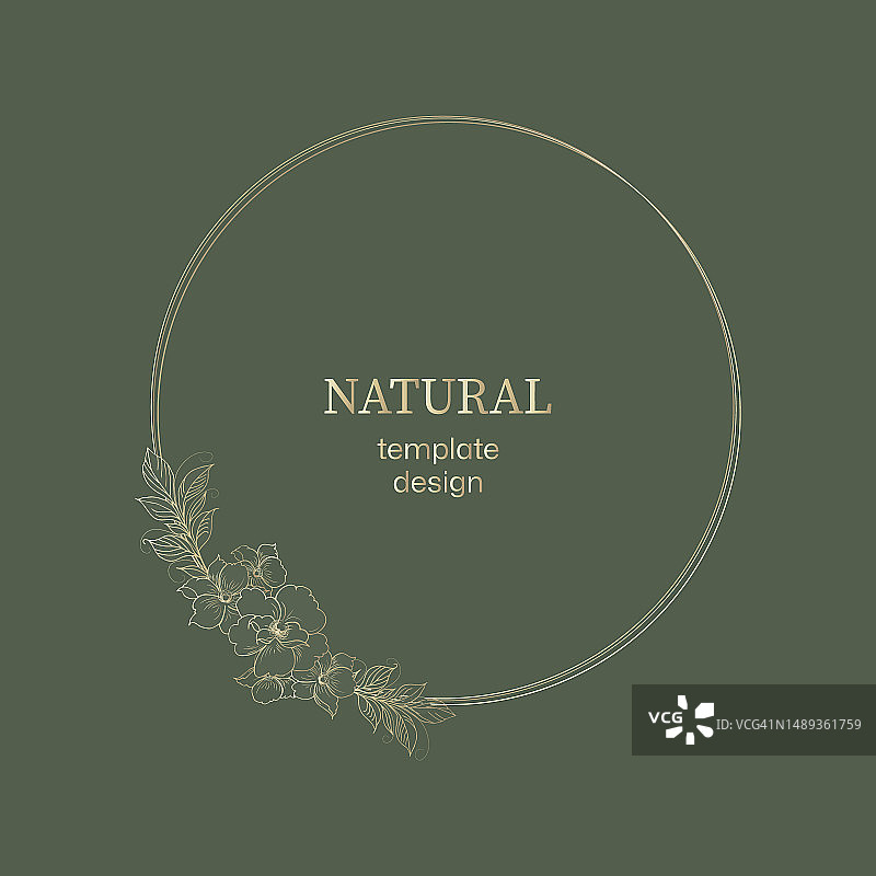 金色花卉装饰元素的淡绿色自然背景，圆形花押字，邀请函、故事、问候卡模板图片素材