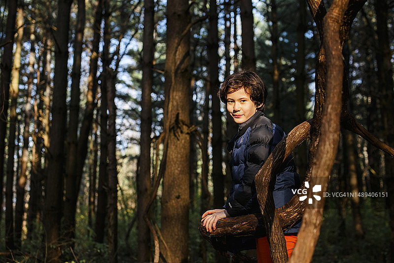 微笑的男孩靠在金色森林的树枝上图片素材