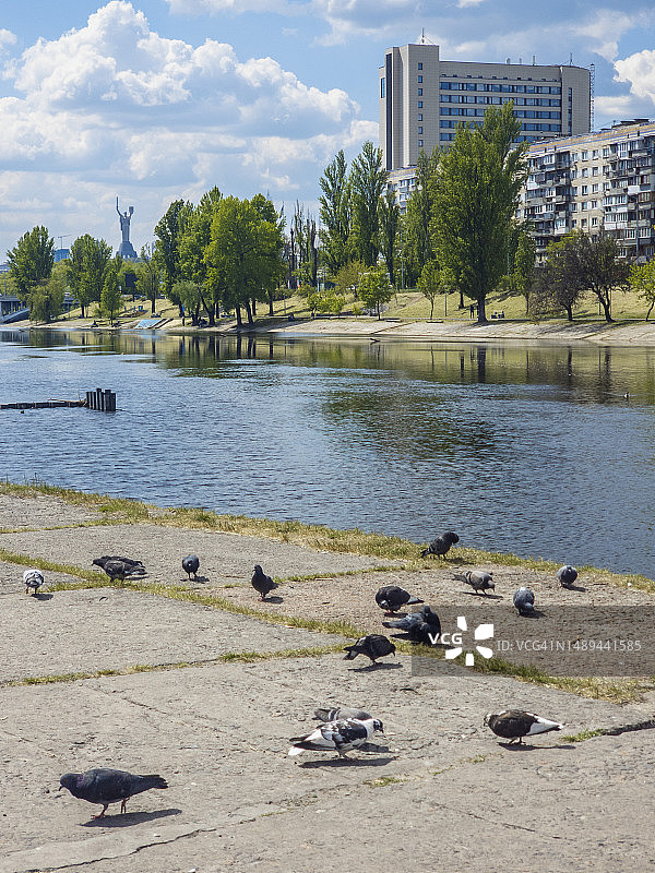 阳光明媚的河堤图片素材