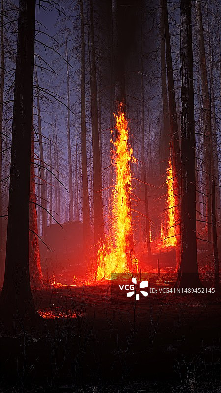 森林火灾图片素材