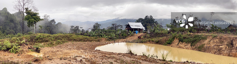 苏门答腊雨林砍伐图片素材