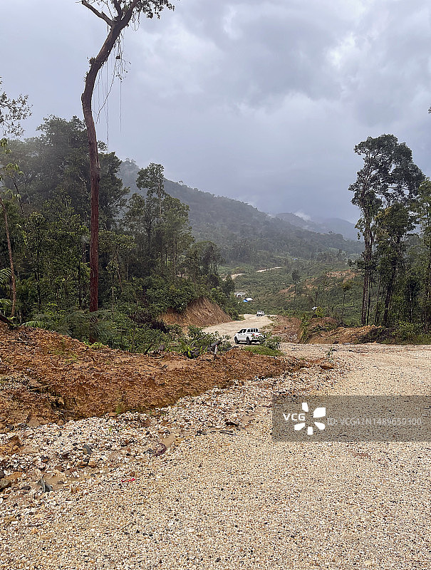 苏门答腊雨林砍伐图片素材