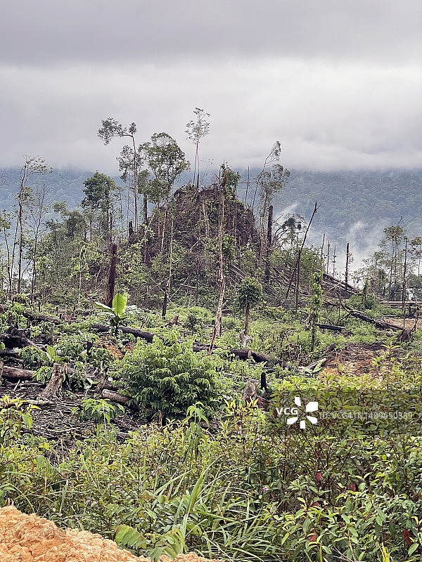 苏门答腊雨林砍伐和火山锥图片素材