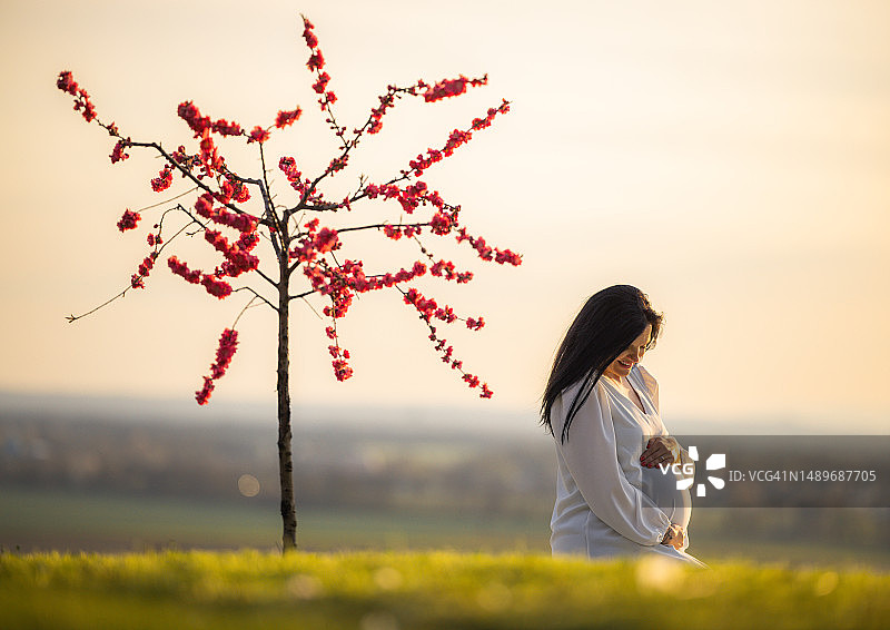 幸福的孕妇抚摸着坐在草地上的肚子图片素材