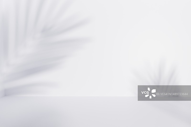 白色墙壁上棕榈叶的模糊阴影背景图片素材