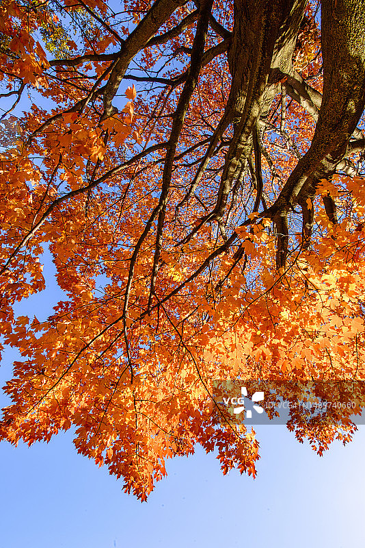 秋季公园图片素材