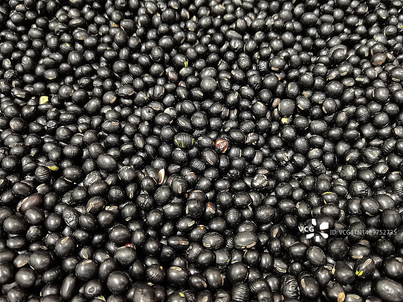 黑豆图片素材
