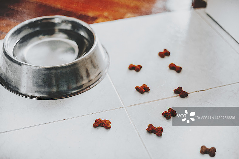 带食物的狗狗水碗图片素材