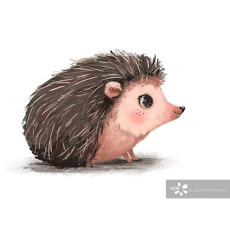水彩手绘可爱刺猬儿童插画图片素材