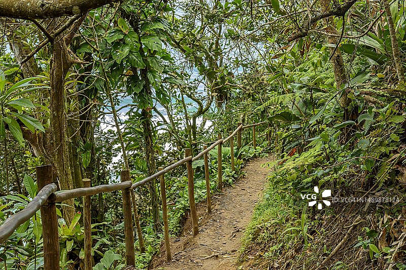 穿过巴西里约热内卢特林达迪大西洋森林茂密植被的路径图片素材