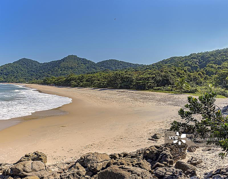 巴西圣保罗州南海岸贝尔蒂奥加的原始森林环绕海滩图片素材
