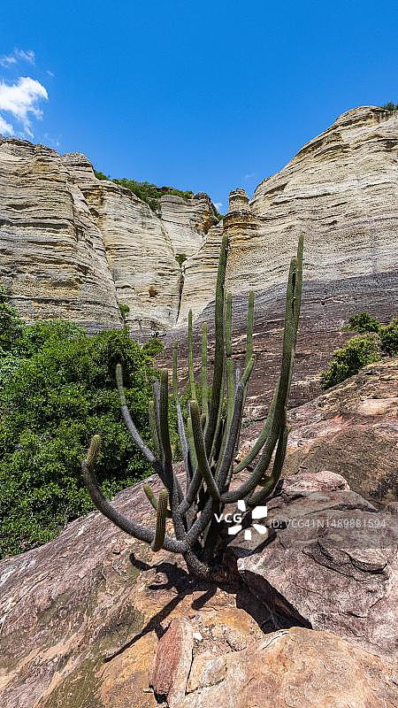 巴西皮奥伊州卡皮瓦拉山国家公园佩德拉弗拉达的砂岩悬崖，联合国教科文组织遗址图片素材