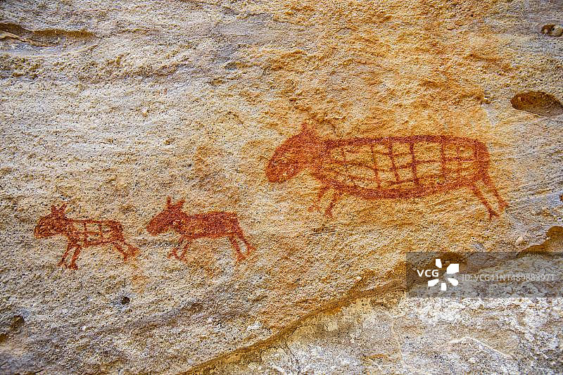 巴西塞拉达卡皮瓦拉国家公园岩画图片素材