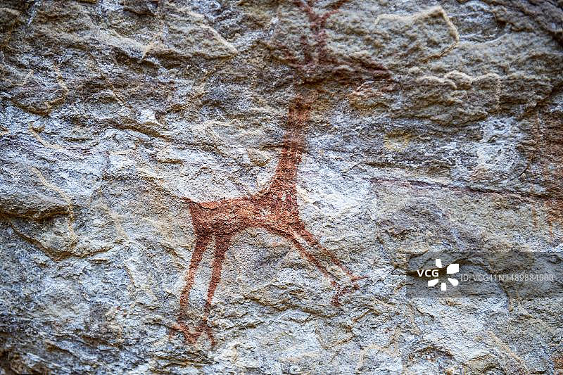 巴西塞拉达卡皮瓦拉国家公园岩画图片素材