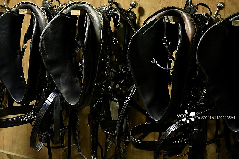 马厩：展示马鞍、缰绳和马项圈图片素材