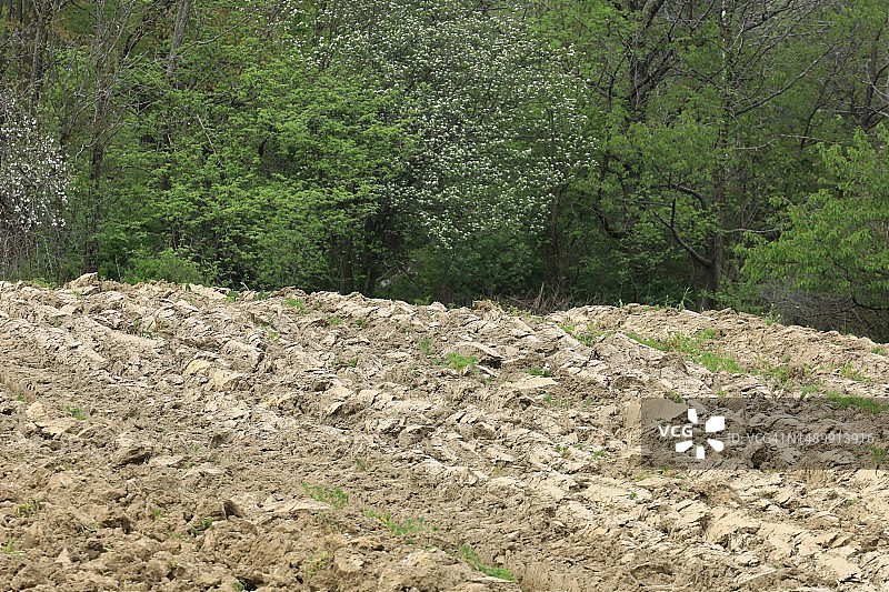 耕种过的农田图片素材