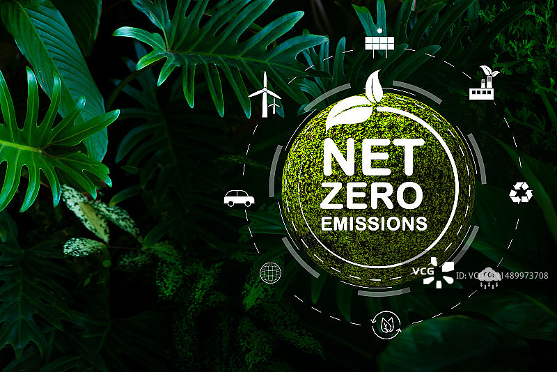 手持自然环境和碳中和概念，实现净零排放目标。绿色净零天气中性长期战略目标云图片素材