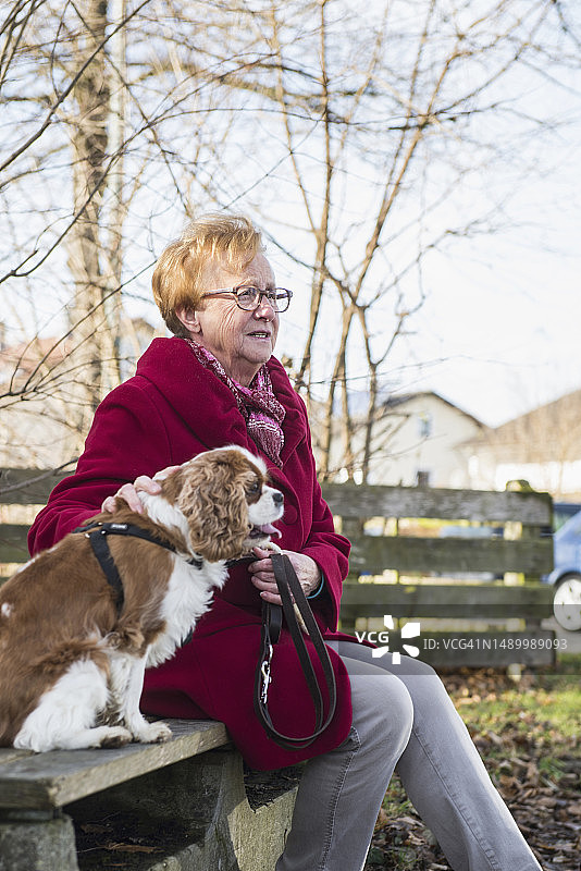 坐在长凳上的一位老妇人和她的狗图片素材