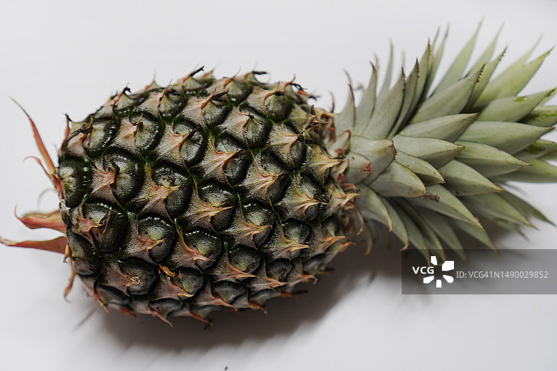 白色背景上的菠萝图片素材