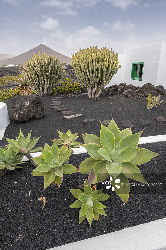 塞萨尔·曼里克基金会，兰萨罗特岛图片素材