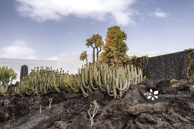 塞萨尔·曼里克基金会，兰萨罗特岛图片素材