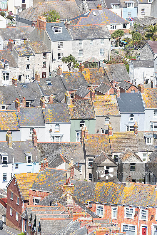 多塞特郡波特兰图片素材