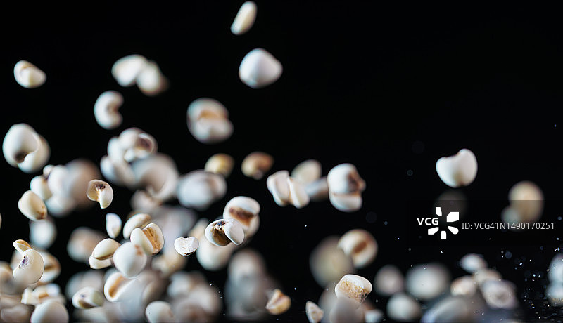 黑色背景中的飞行图片素材