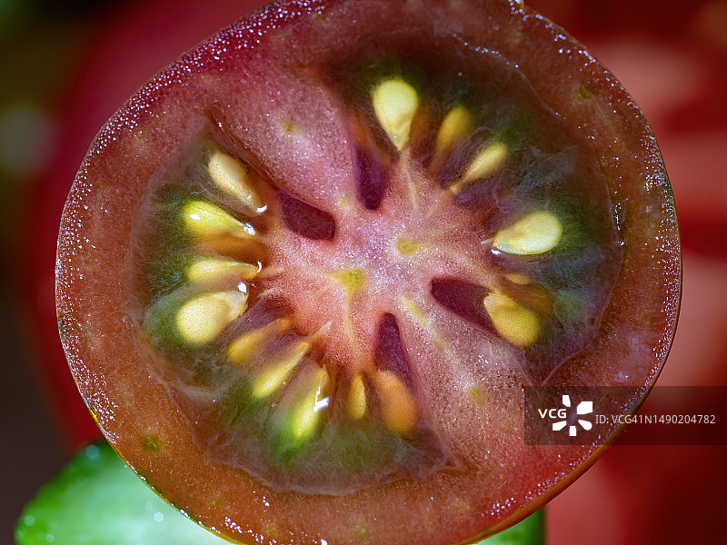 蓝色番茄横截面图片素材