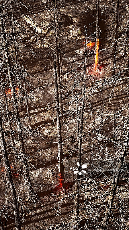 森林火灾鸟瞰图图片素材
