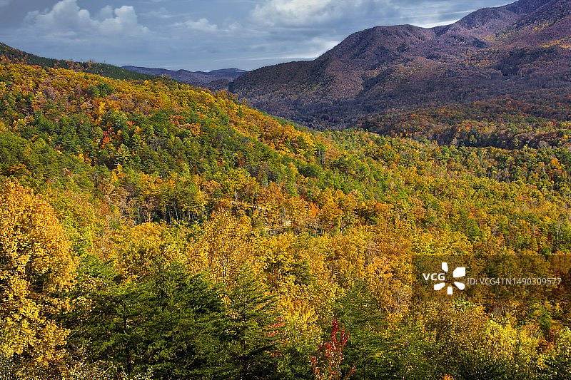 大雾山国家公园的秋色图片素材