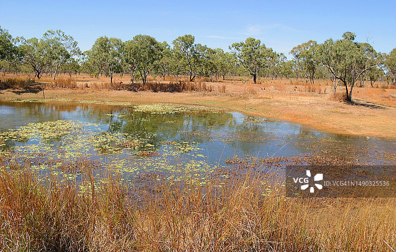 澳大利亚北部地区的偏远水潭图片素材