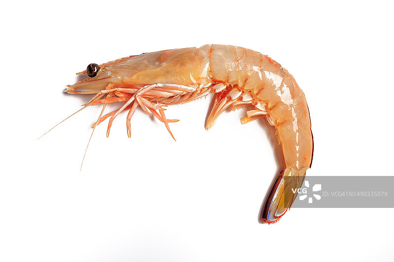 白色背景上的完整熟虾。 斯潘塞湾。 南澳大利亚。图片素材
