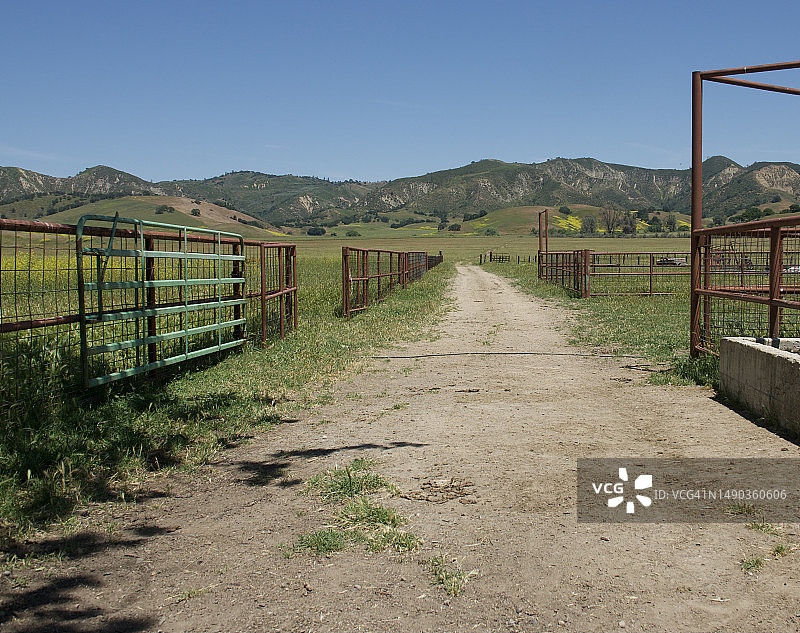 阳光明媚春日里的乡村土路图片素材